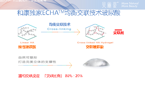 贝丽姿玻尿酸