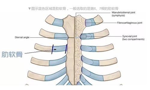 重庆美莱开业盛典即将举行