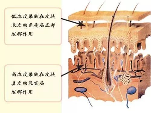 <a href='/' target='_blank'><u>上海美莱</u></a>精致女人祛斑沙龙，到院送无针水光和清洁护肤